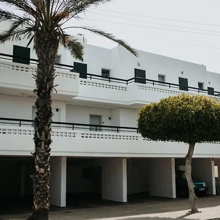 Ovis Ayia Napa