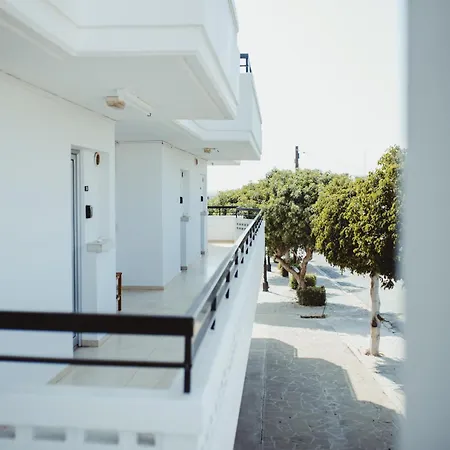 Ovis * Ayia Napa