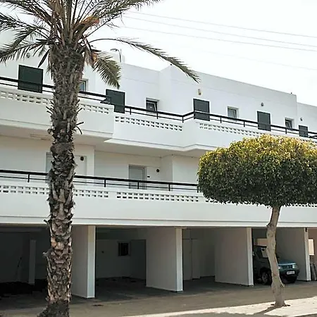 Ovis Ayia Napa